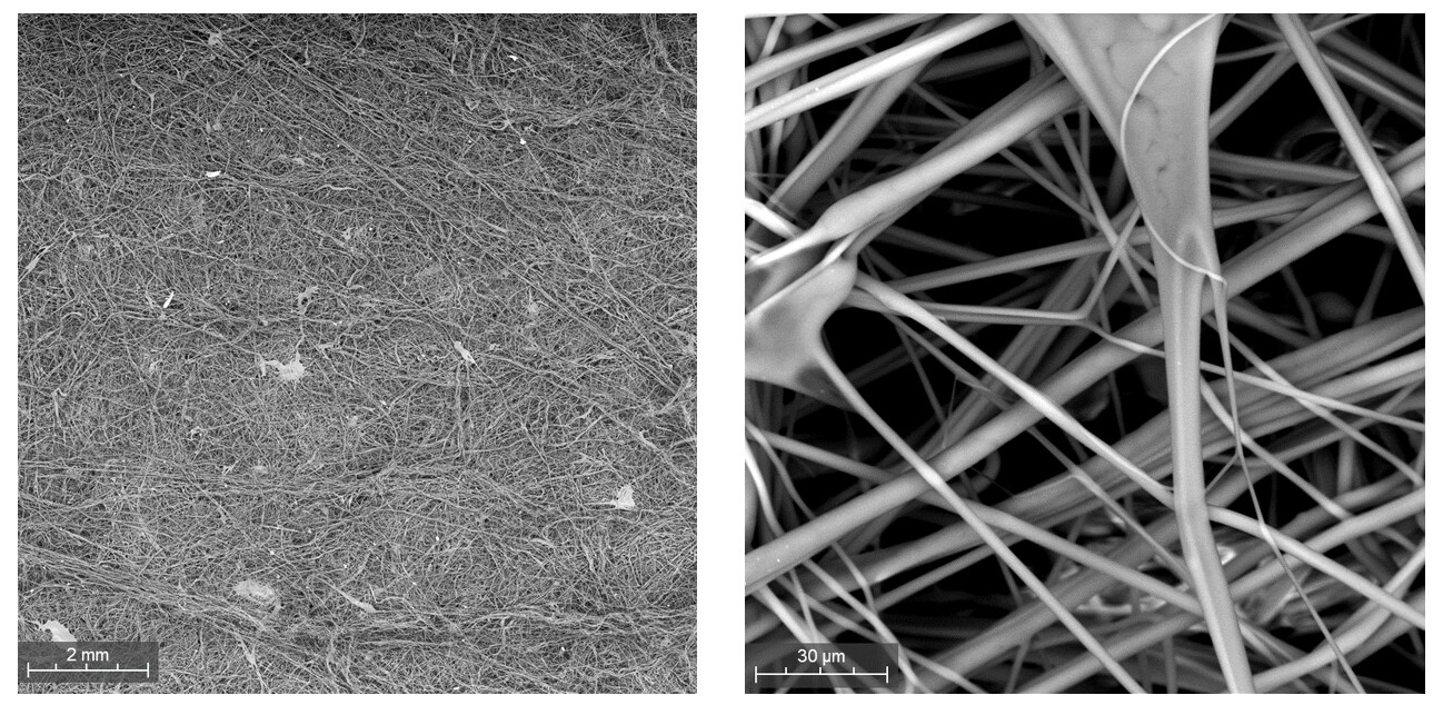 Nonwoven fabric imaged with SEM