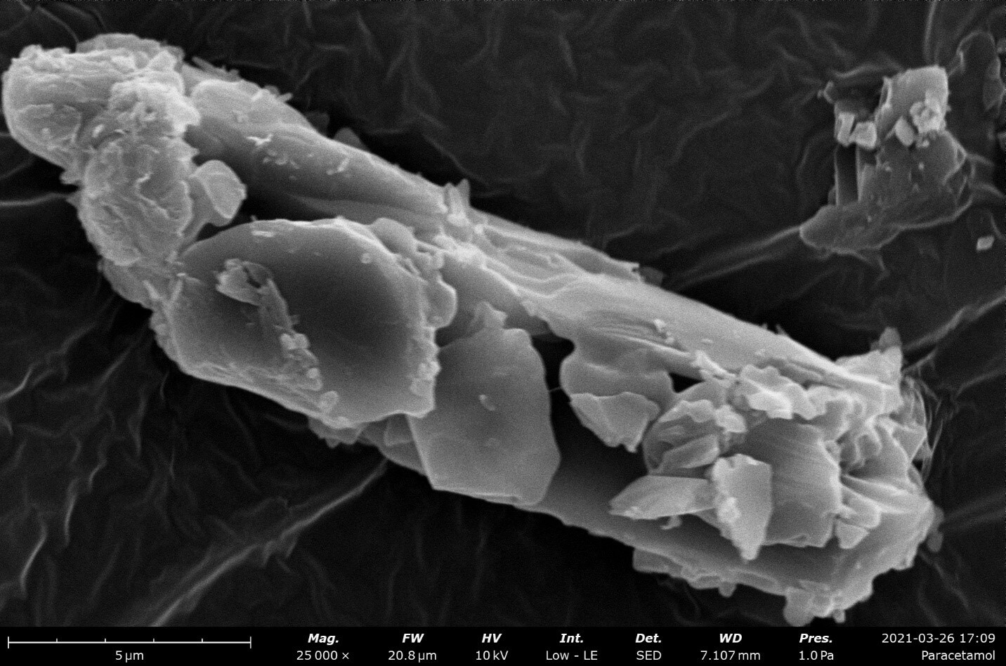 Pharmaceutical particle visualized with a desktop SEM.