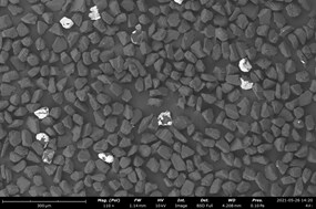 Backscattered electron image fails to detect non-conductive plastics