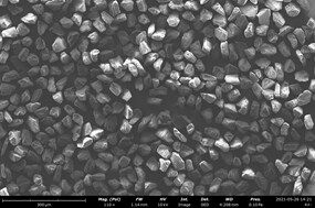 Secondary electron image of non-conductive plastics imaged with plastics microscopy