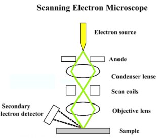 Basic components of an SEM
