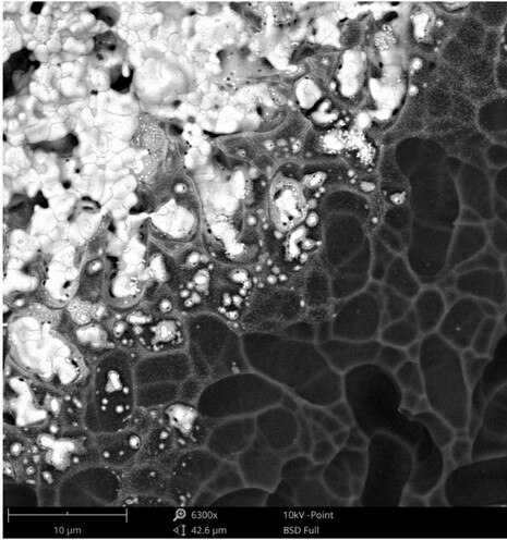 SEM image of a solar cell, where the heavier element silver appears bright compared to the dark area of the lighter element silicon.