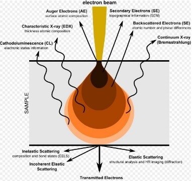 Electron signals generated in SEM and TEM