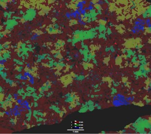 Quantitative EDS mapping of a monzogabbro rock sample.