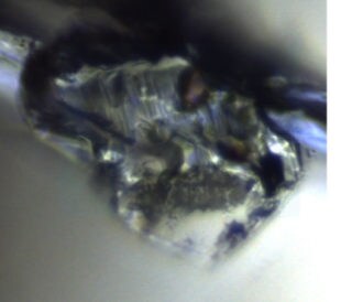 Inclusion in Diamond