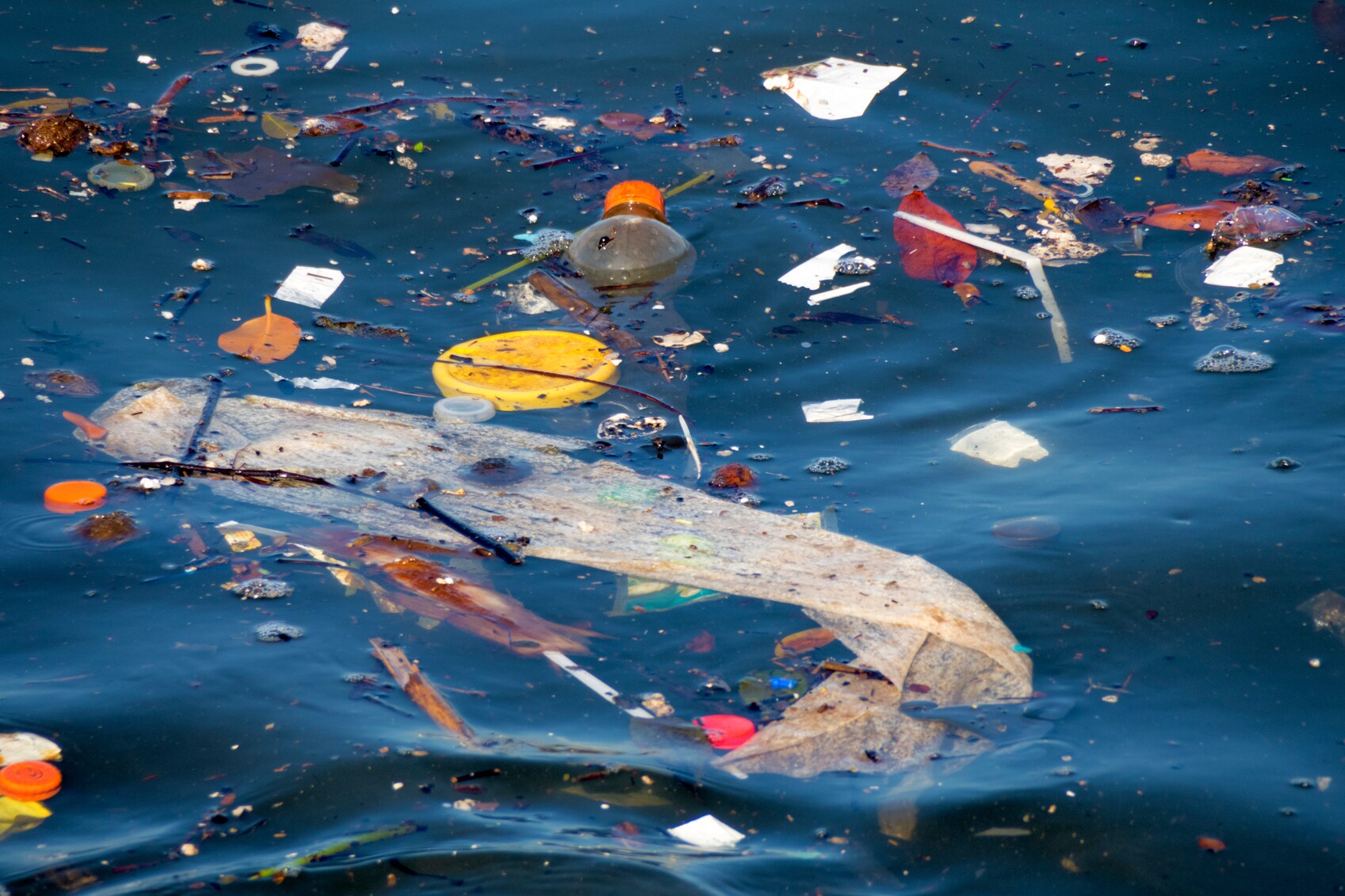 ocean plastic pollution