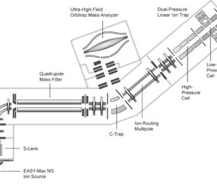 Orbitrap Fusion Schematic