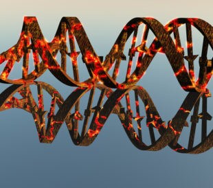 DNA damage. Image: Bruce Rolff/Shutterstock.com