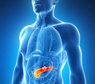 Pancreatic cancer. Image: Sebastian Kaulitzki/Shutterstock.com