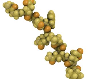 Gluten peptide. Image: molekuul.be/Shutterstock.com