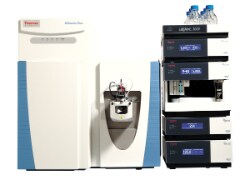 Q Exactive Plus Hybrid Quadrupole-Orbitrap mass spectrometer.