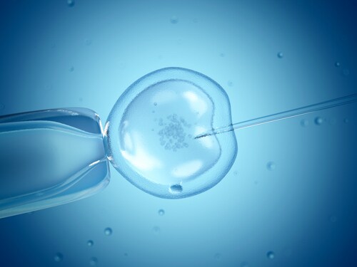 Close-up of in vitro fertilization. Image: Sebastian Kaulitzki/Shutterstock.com