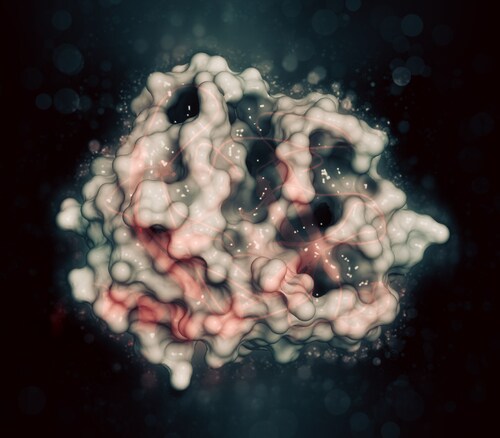Trypsin digestive enzyme. Image: molekuul_be/Shutterstock.com