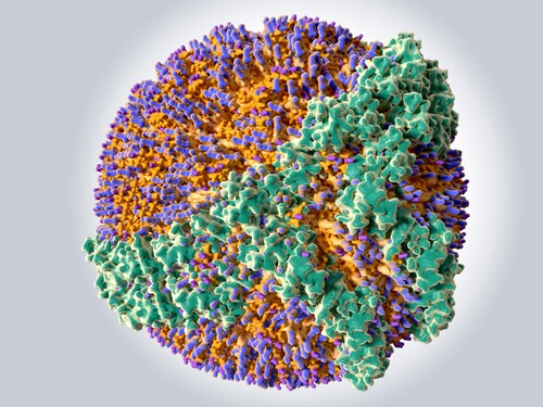 High-density lipoprotein. Image: Juan Gaertner/Shutterstock.com