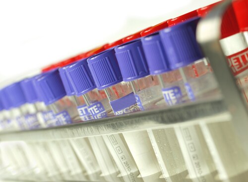 Test tubes filled with clear liquid. Image: Jag_cz/Shutterstock.com