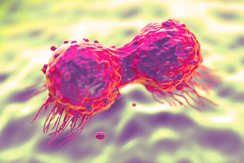 Dividing breast cancer cell. Image: royaltystockphoto.com/Shutterstock.com
