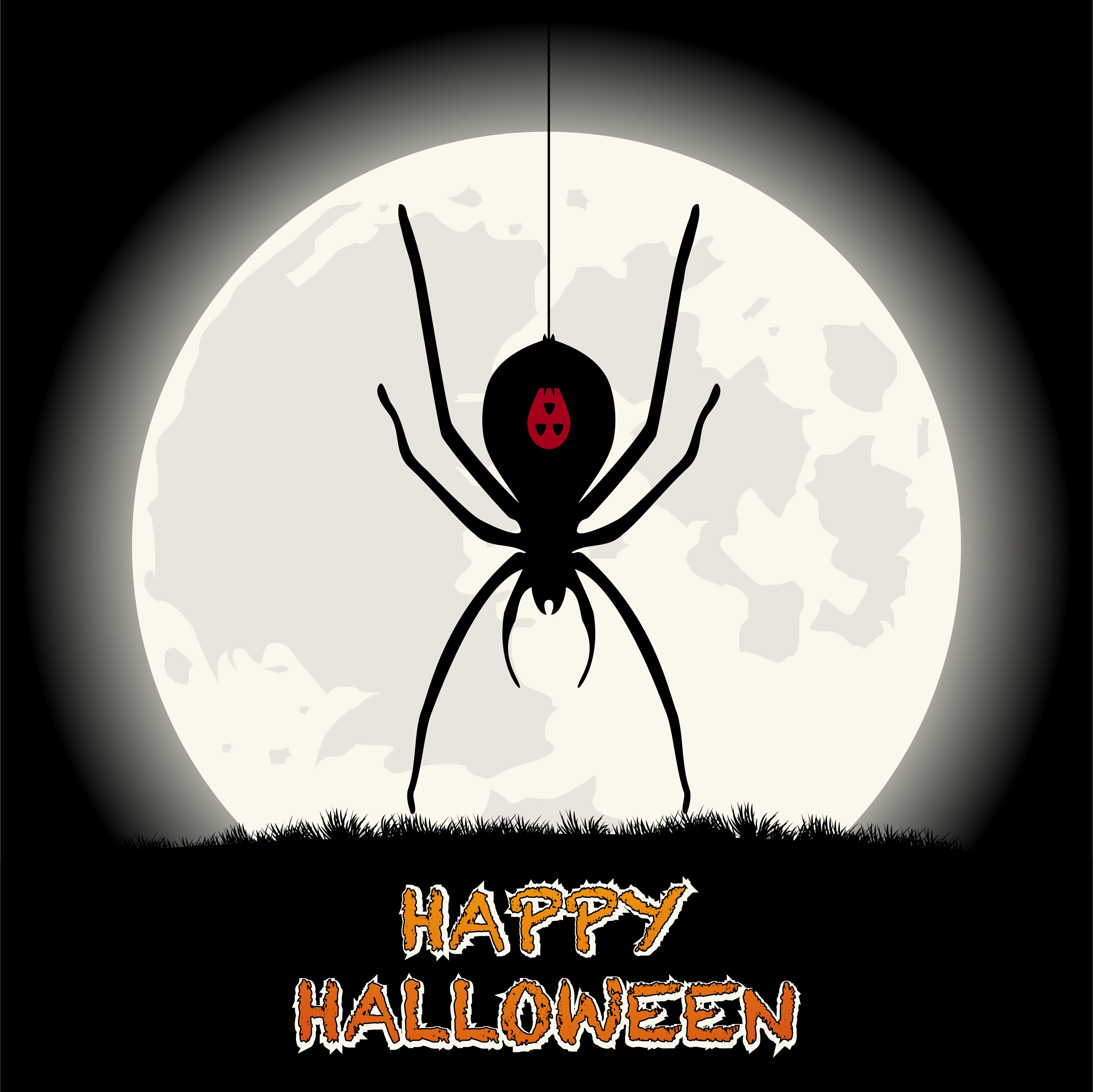 Spider Happy Halloween