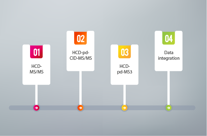 Four steps infographics - can illustrate a strategy, workflow or team work. Image: Anna Frajtova/Shutterstock.com.