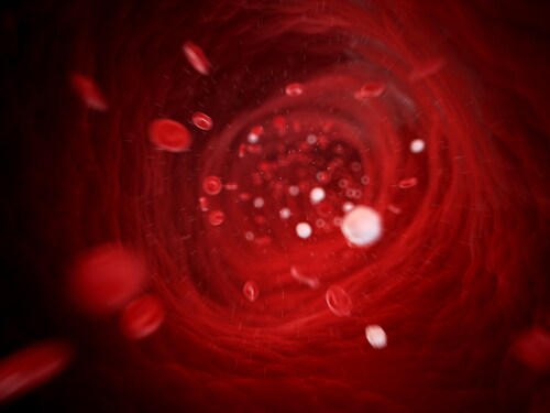 3d rendered illustration - human blood cells. Image: Sebastian Kaulitzki/Shutterstock.com.