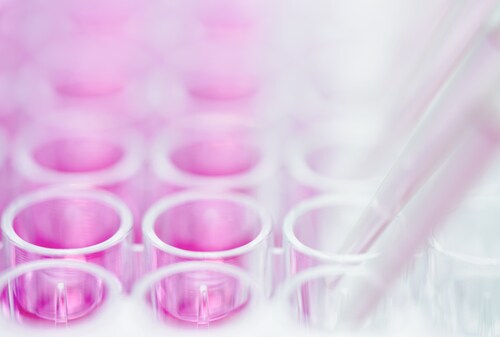 Pipetting pink liquid into multi-well plate. Image: Andrii Slonchak/Shutterstock.com.