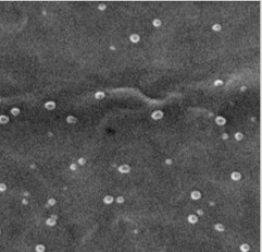 Backplane particles imaged by a Thermo Scientific Apreo 2 SEM.