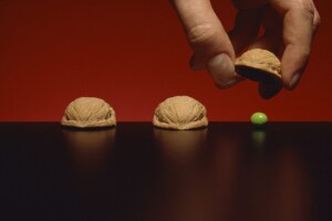 . Mining geologists perform ore grade control to figure out where the most profitable ore deposits are 