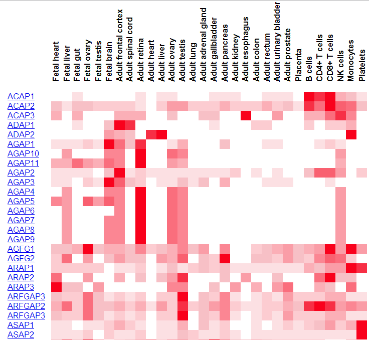 Putting the Human Proteome on the - Proteome Map 