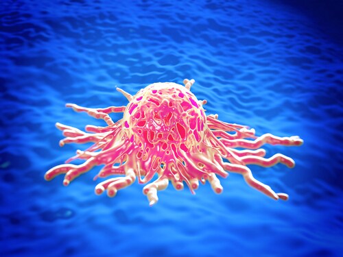 cervical cancer cell