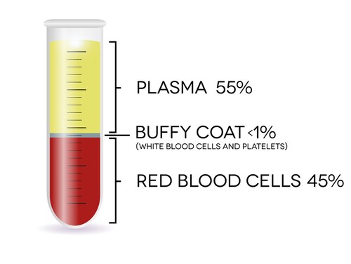 Test tube showing percentage of plasma, red blood cells, and buffy coat in a blood sample. 