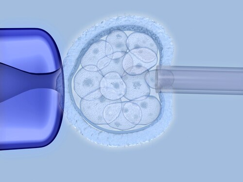 Extraction of embryonic stem cells. Image: Juan Gaertner/Shutterstock.com