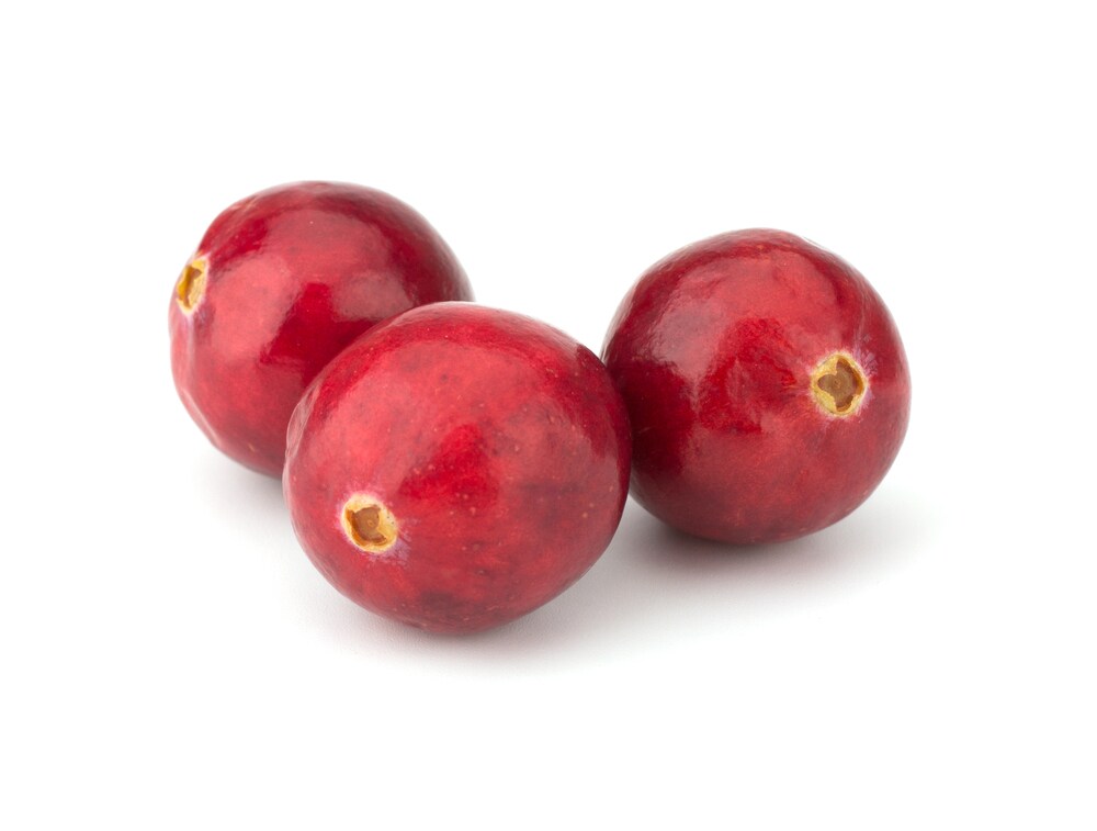 Cranberries Isolated on a White Background