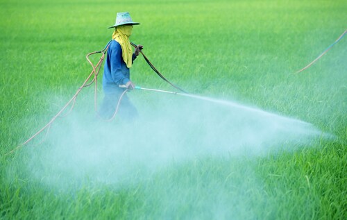 Farmer spraying pesticide on field. Image: sakhorn/Shutterstock.com
