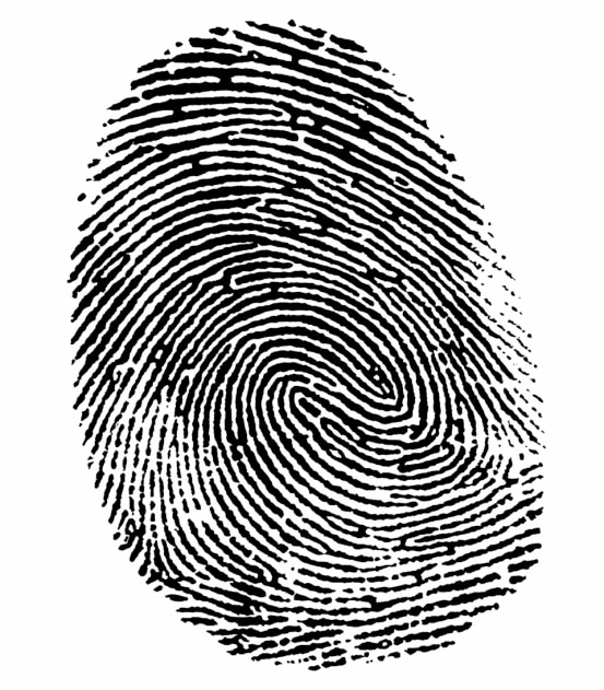 fingerprint