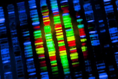 DNA sequence. Image: Gio.tto/Shutterstock.com