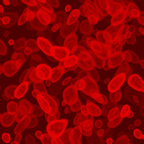 Blood cells. Image: Fenton/Shutterstock.com