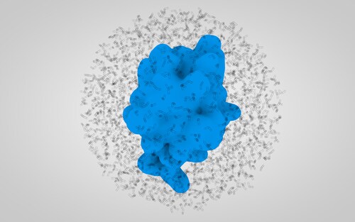 Ubiquitin. Image: Bitcyte/Shutterstock.com