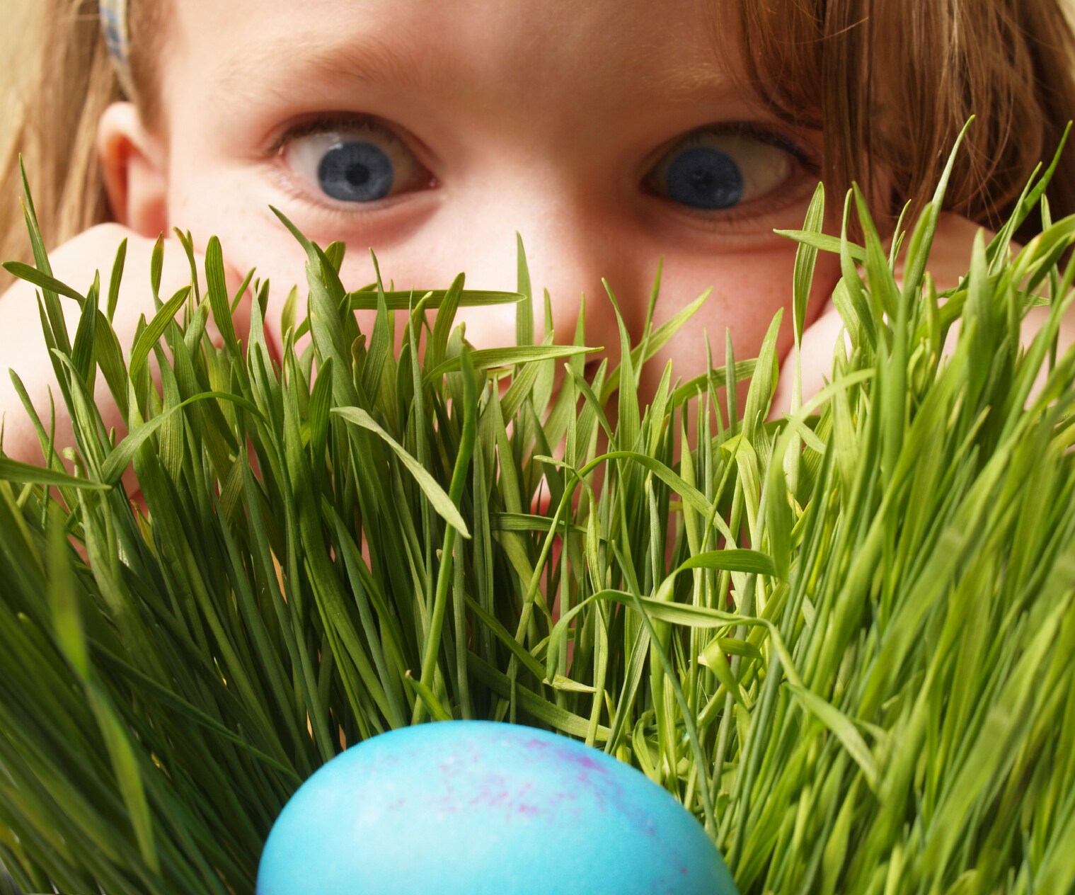 17 Best Easter Eggs Hidden on the Web in 2023