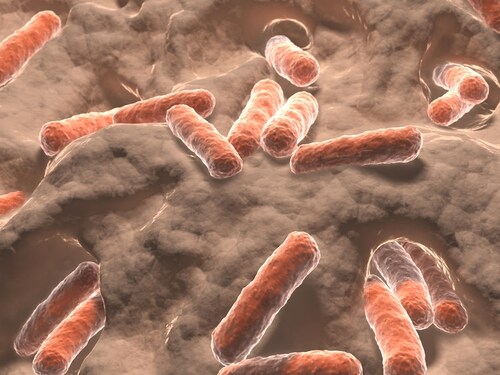 Gut bacteria. Image: Juan Gaertner/Shutterstock.com