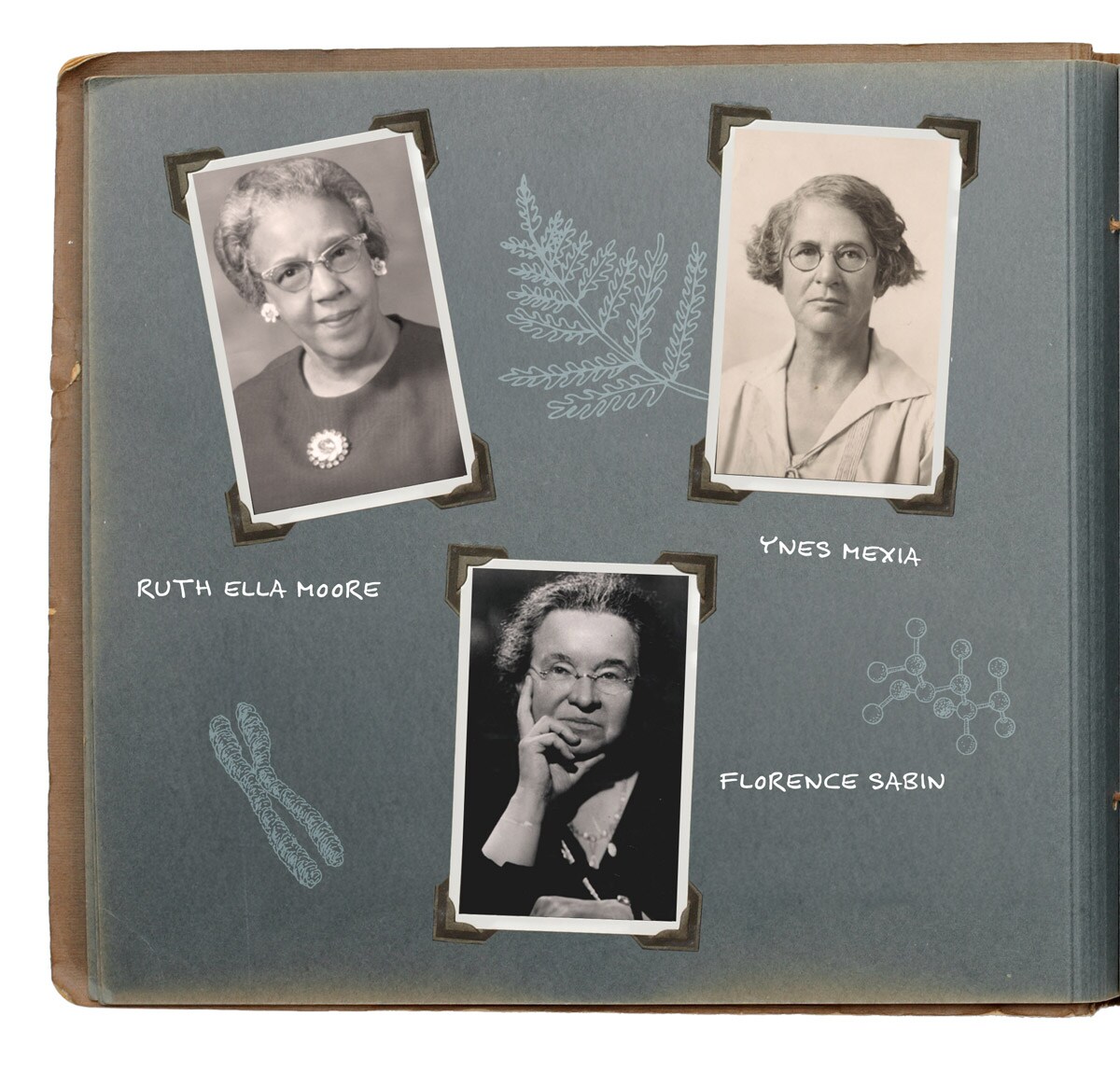 Women Scientists in History