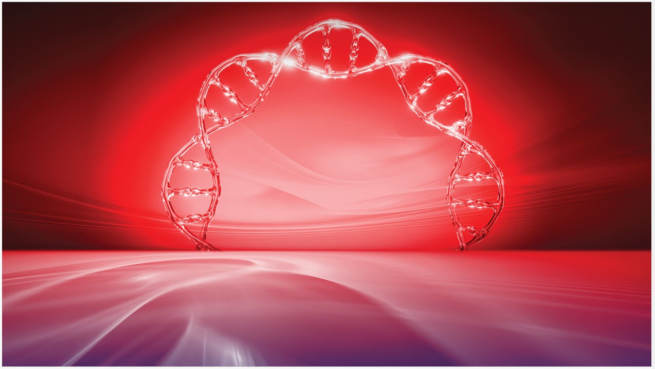 Plasmid preparation size concept
