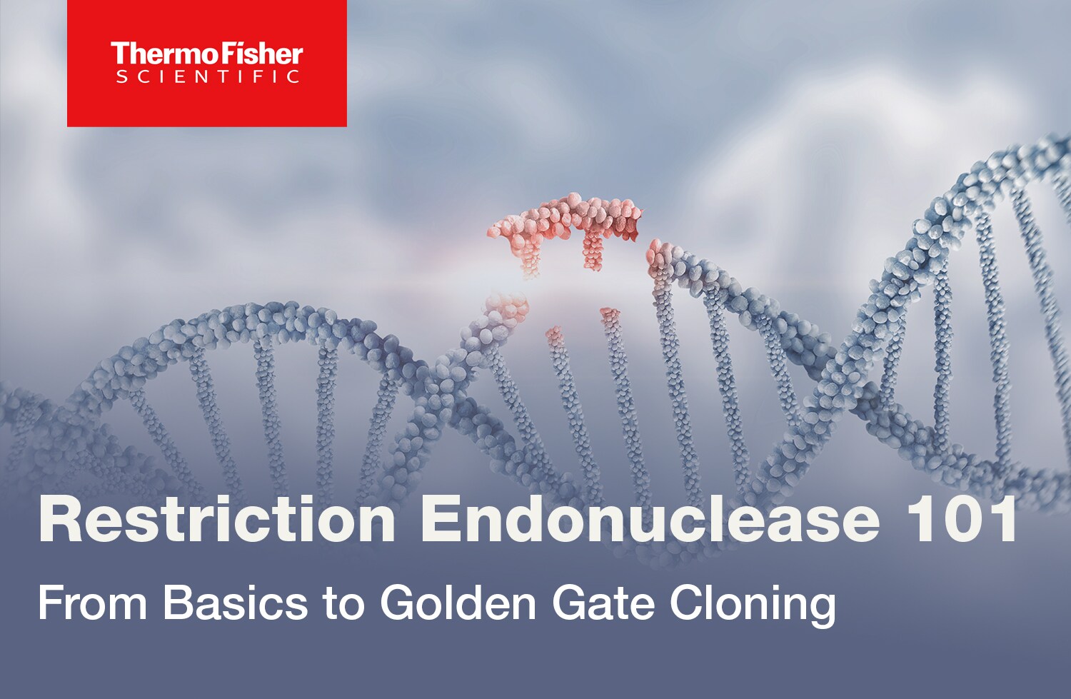 Restriction Endonucleases 101