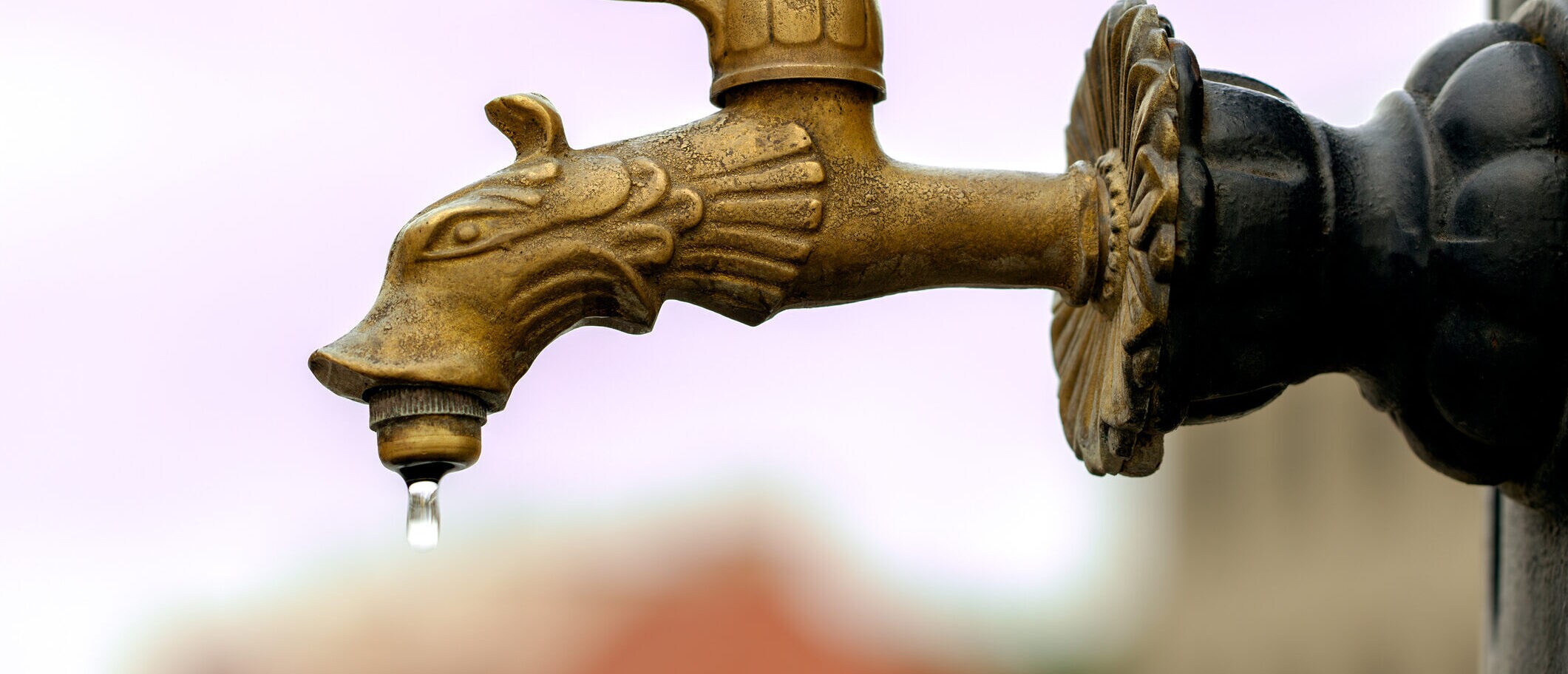 metal water faucet in the shape of a dragon