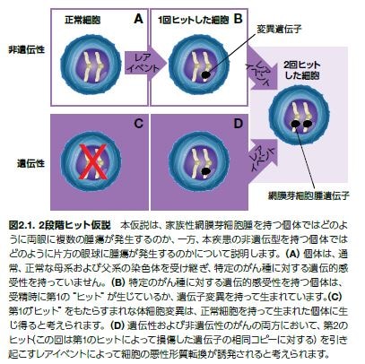 いまさら聞けないがんの基礎 4代表的ながんドライバー遺伝子とは