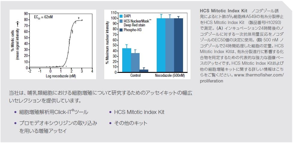 HCS Mitotic Index Kit