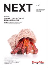NEXT2016年5月号