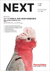 NEXT2017年3月号