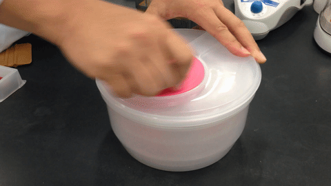 salad-spinner-centrifuge-fig4