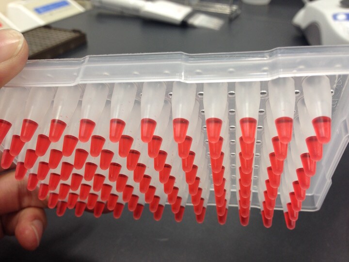 salad-spinner-centrifuge-fig5