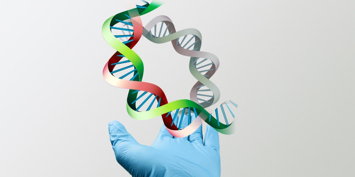 Gloved hand holding a colorful DNA double helix with a faded DNA strand in the background.
