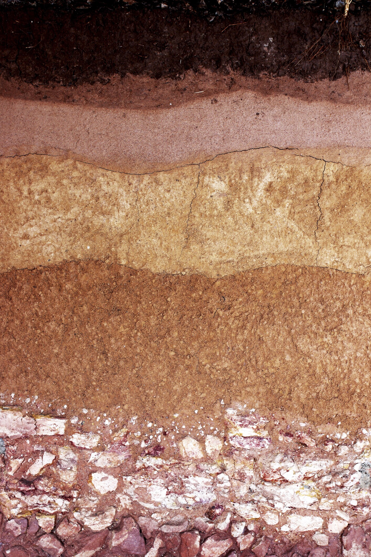 sediment layers